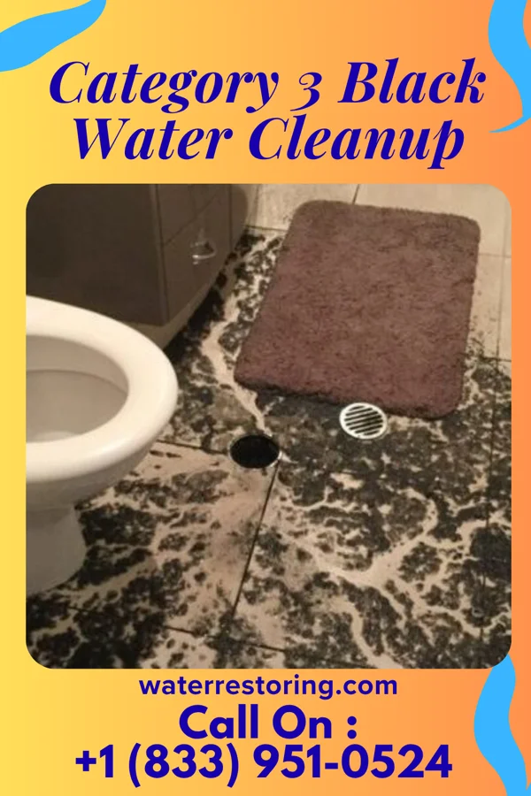 Category 3 Black Water Cleanup in Wildwood, NJ