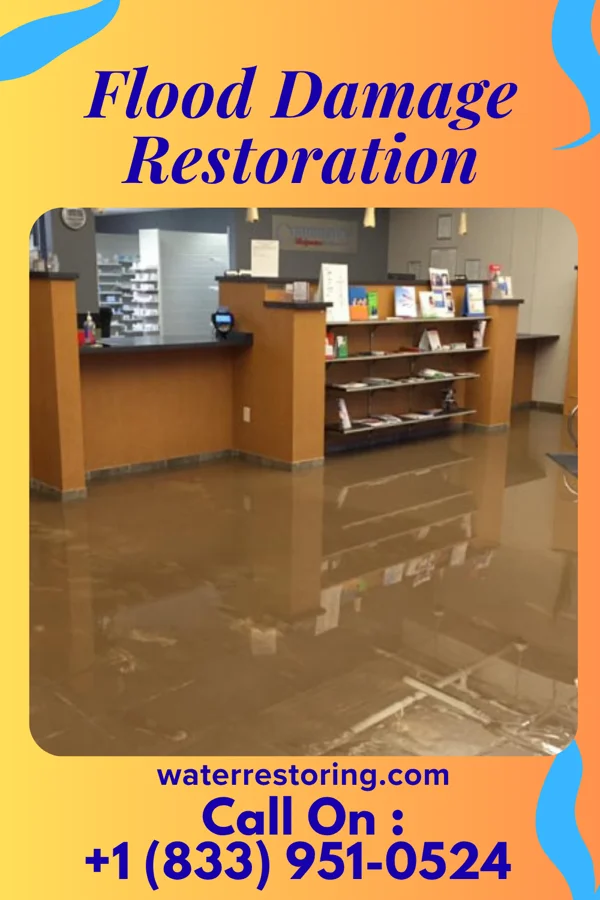 Flood Damage Restoration in Wildwood, NJ