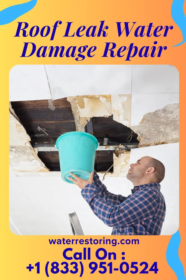 Roof Leak Water Damage Repair in Wildwood, NJ