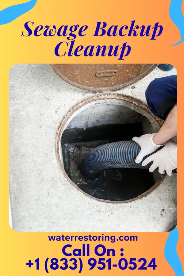 Sewage Backup Cleanup in Wildwood, NJ